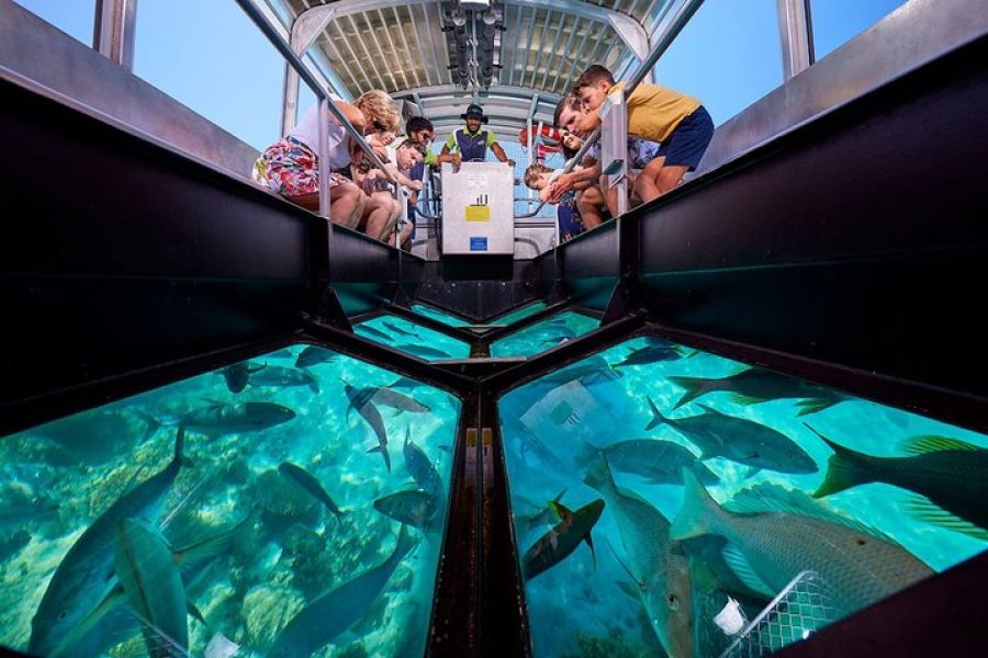 Tour en barco de vidrio con snorkel y barra libre en Punta Cana Beach