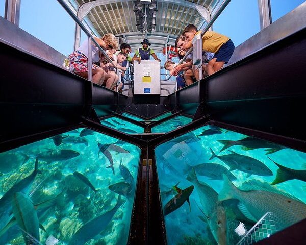 Punta Cana: Tour en barco de vidrio con snorkel y barra libre en Punta Cana Beach