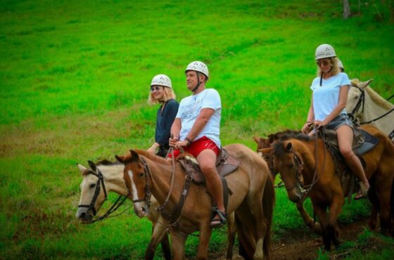 Punta Cana: CABALLOS / HORSES BACK RIDING ADVENTURE